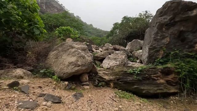 Путешествие в Салала, Оман в сезон на машине из ОАЭ) день 2 смотреть онлайн