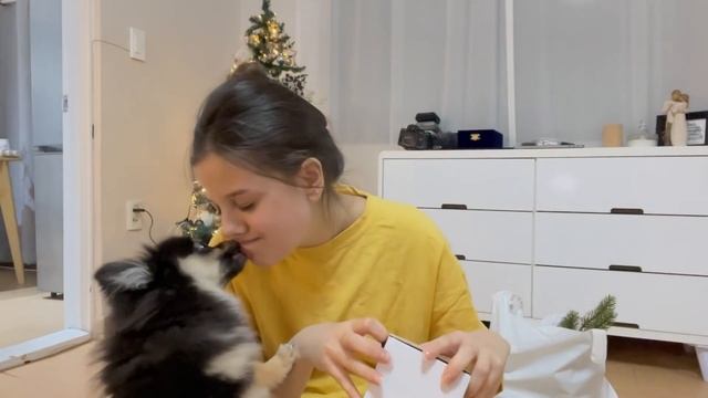 VLOGMAS #2: ПОКУПАЕМ НОВОГОДНИЕ УКРАШЕНИЯ ДЛЯ ДОМА ? + ЛЮБИМАЯ ЕДА ДЖУНА ? смотреть онлайн