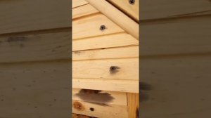 Копчение курицы горячего копчения в коптильном шкафу