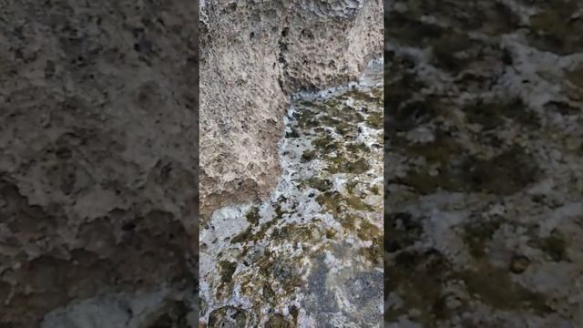 Море,Кипр,собираем ракушки