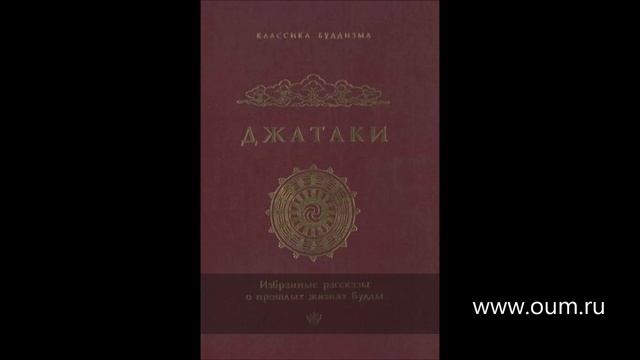 Андрей Верба. Джатака о Бхаддасале смотреть онлайн
