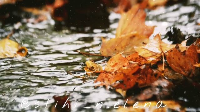 Осень чавкает под ногами. Стихи. Елена Немоляева. смотреть онлайн