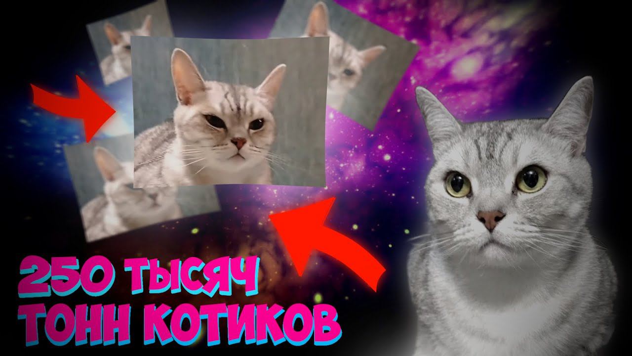 ИГРАЕМ в BedKitGDPS! | ВЫДАЁМ МОДЕРКИ! | Долгожданный ИТОГОВЫЙ Стрим! смотреть онлайн