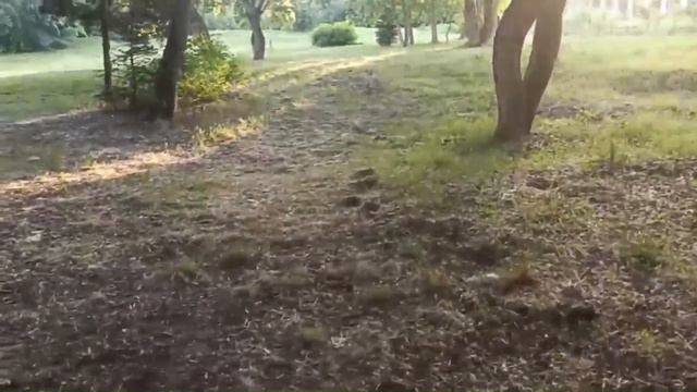 Я уважаю своих подписчиков смотреть онлайн