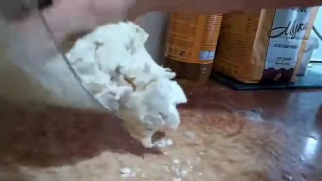 ЗАВАРНОЕ ТЕСТО ДЛЯ ВАРЕНИКОВ смотреть онлайн
