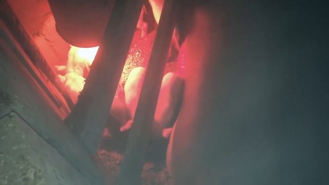 Свиноматка грызет своих поросят! Что делать и как спасти? смотреть онлайн