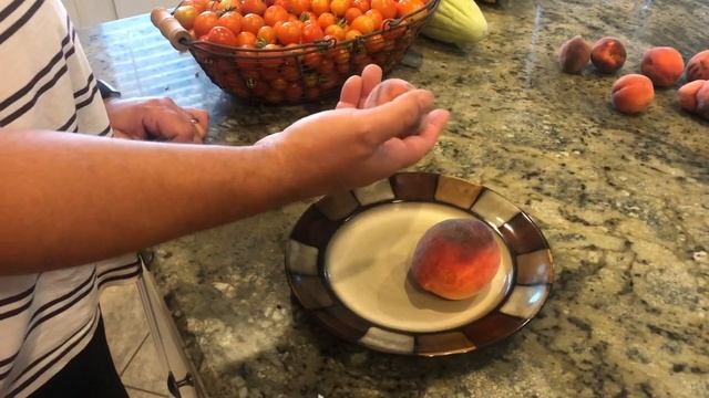 Bonanza Dwarf Peach Tree смотреть онлайн