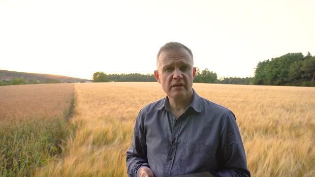 Страх Господень смотреть онлайн