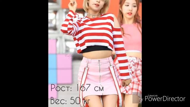 ?Какой настоящий рост и вес девушек-айдолов??TWICE?BLACKPINK? смотреть онлайн