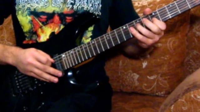 Bruce Dickinson — Tears Of The Dragon Vocal & Guitar Cover смотреть онлайн