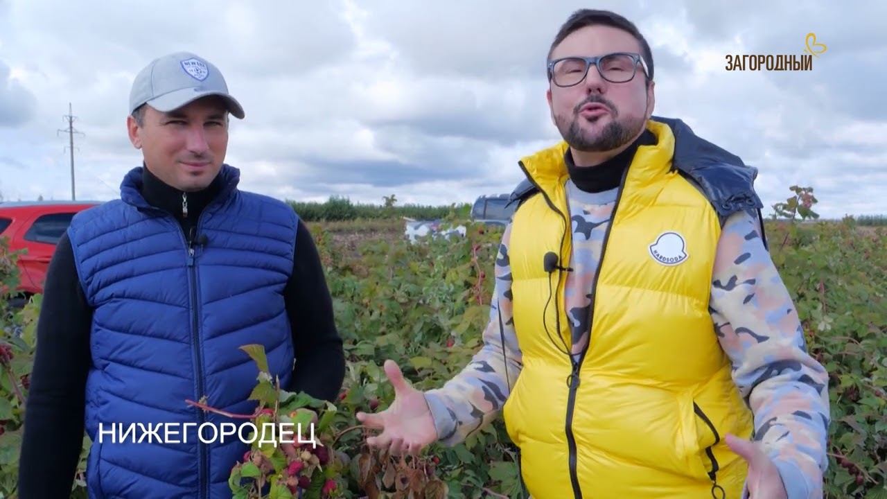 Дача с Виталием Декабревым Сезон 3 / Выпуск 3 смотреть онлайн