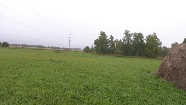 Открытие охоты тетерев 2018 смотреть онлайн