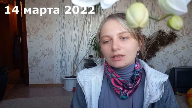 ДОМ, В КОТОРОМ... ? ЧИТАТЕЛЬСКИЙ ДНЕВНИК смотреть онлайн