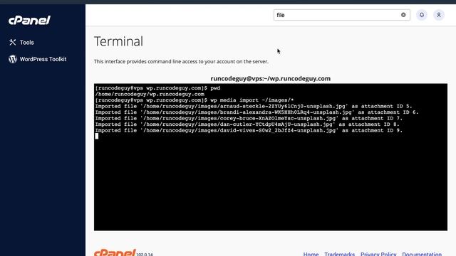 WordPress 5.9 Bulk Import Images Using WP CLI From Local Server cPanel Shared Hosting смотреть онлайн