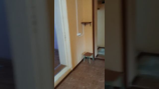 Видеопоказ