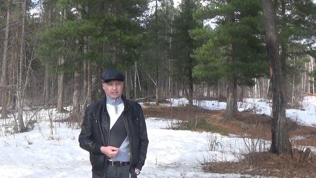Про любовь в стихах. смотреть онлайн