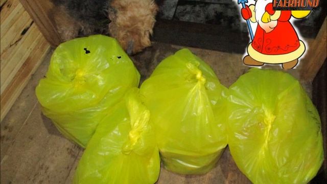 ДедМороз подарки собакам 22 XII 2020 смотреть онлайн