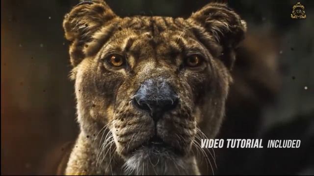 ✨Ball particles slideshow. Слайд-шоу с эффектами 3д параллакс. Видео из фото.? смотреть онлайн