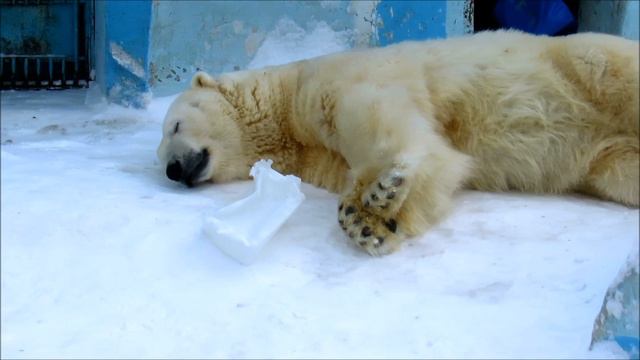 У Кая и Герды сладкий обеденный сон. 07.03.21 г. смотреть онлайн