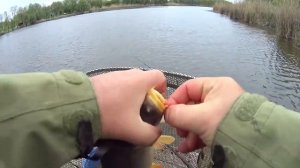 Ловля карпа и крупного карася 1 мая. Карп на фидер весной. Весенний карп, амур и карась