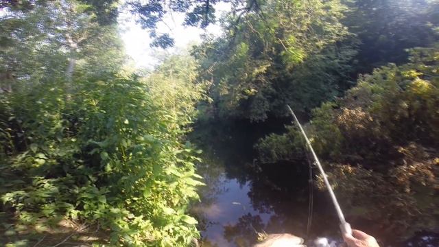JUNGLE FISHING: Exploring River Never Fished for Years! смотреть онлайн