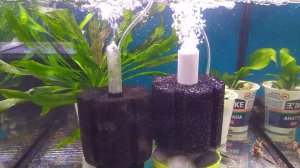 Аэрофильтр для аквариума своими руками.