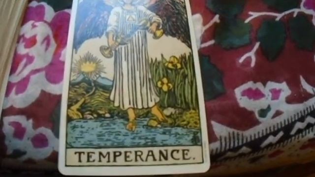 Solitary Wicca Basics ☆ 1 Card Tarot Spread ☆ SABBATRY ☽❶☾ смотреть онлайн