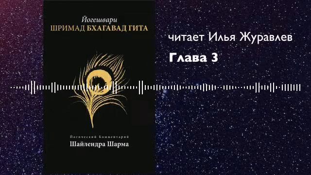 03 Бхагавад Гита с комм. Шри Шайлендры Шармы. Глава 3. смотреть онлайн