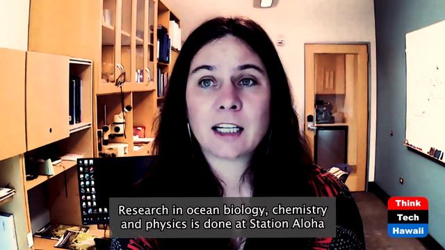 Full Version of Climate Change and Pandemics смотреть онлайн