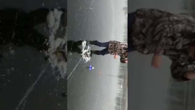 Первый лёд! Рыбалка! смотреть онлайн