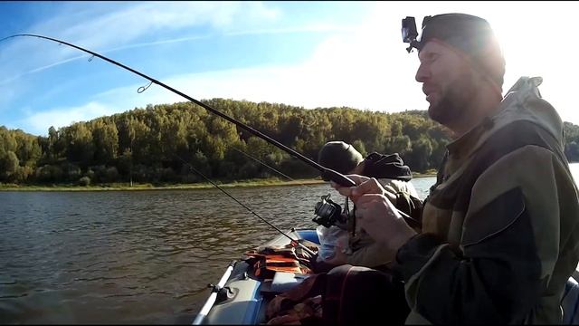 Ловля окуней бершей на отводной поводок рыбалка на хищника судака берша окуня смотреть онлайн