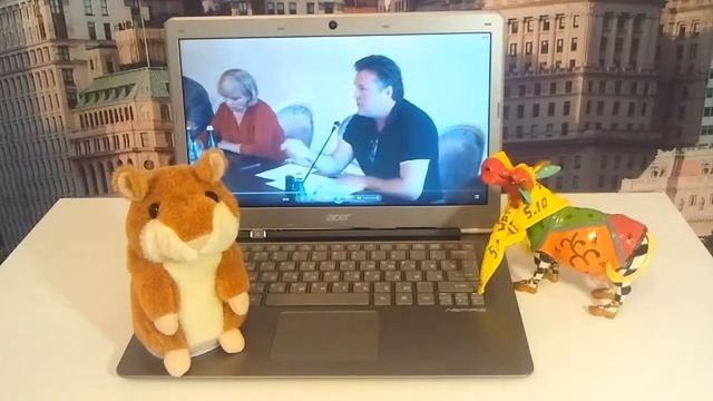 Говорящий хомяк читает новости смотреть онлайн