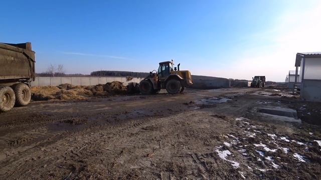 Вывозим солому от телят смотреть онлайн