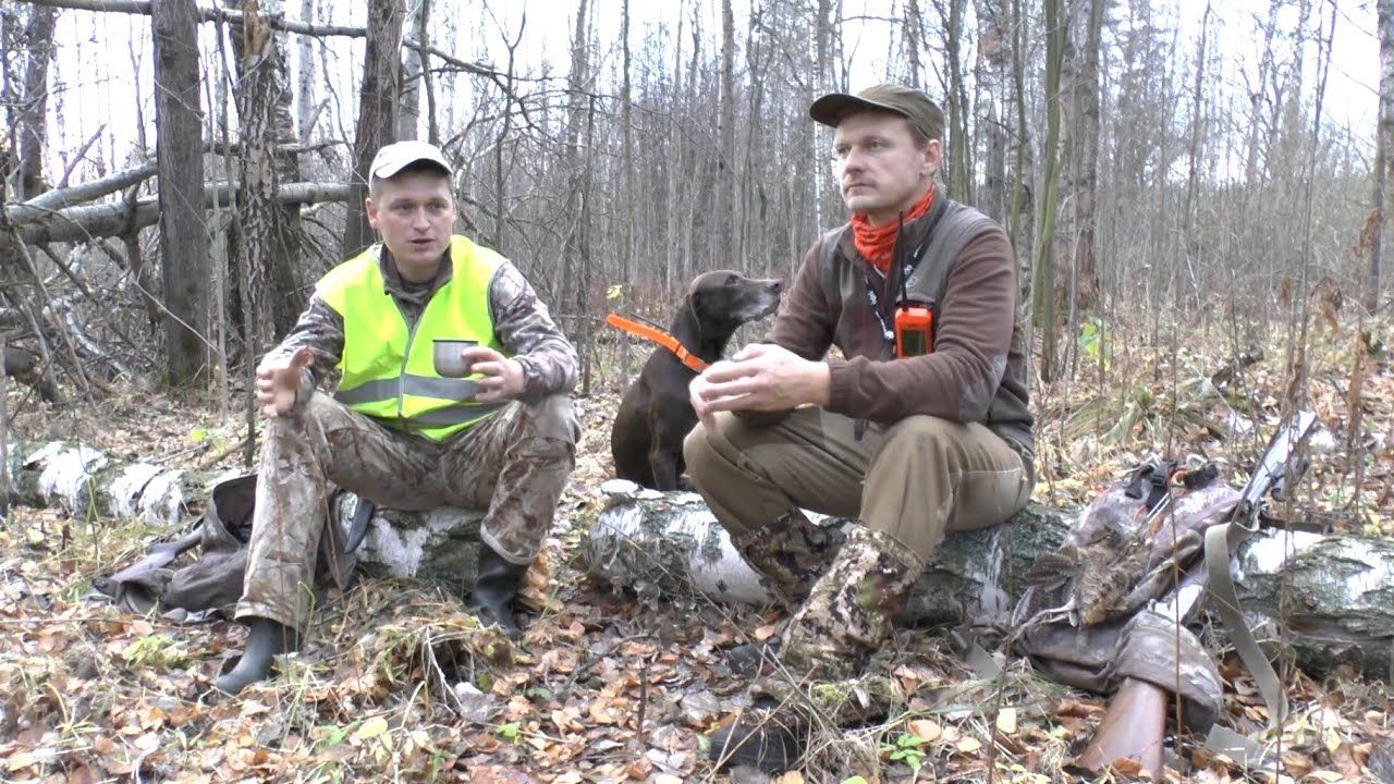 И снова вальдшнеп. Охотничьи истории от Алексея Попова. История вторая. смотреть онлайн