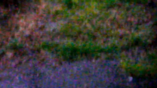 Град. Новочеркасск. 18.07.2017 смотреть онлайн