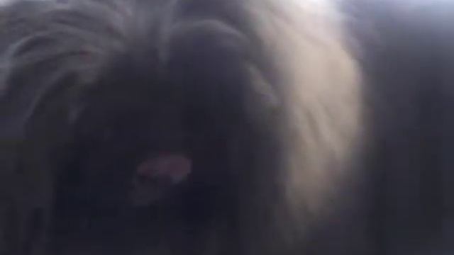 Джайв -подготовка..m4v смотреть онлайн