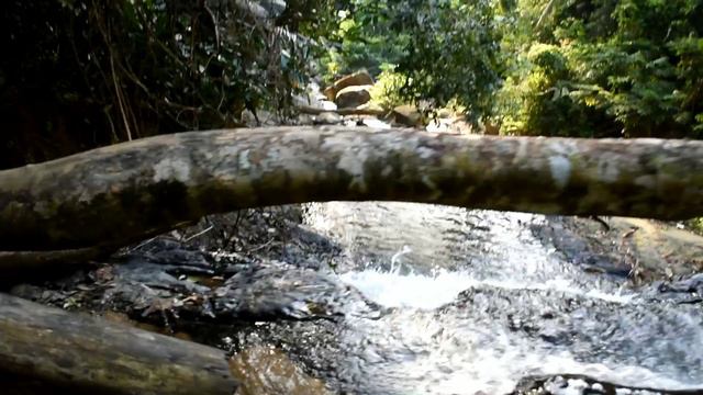 Водопад Huay Toh Waterfall. Тайланд смотреть онлайн