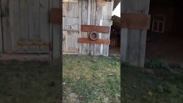 УЧИМСЯ КИДАТЬ НОЖИ!! МЕТАТЕЛЬ НОЖЕЙ! смотреть онлайн