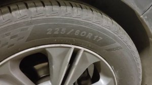 Летняя резина Sailun Atrezzo Elite