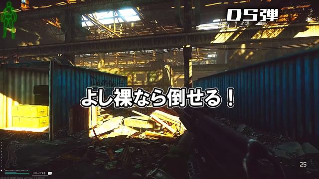 【EFT】戦闘で勝てないならこれ使ってみ？弾も本体もが安いサイガの弾選び【ゆっくり実況プレイ/Escape from Tarkov】 смотреть онлайн