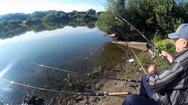 Вытащил внутренности "Перловицы". смотреть онлайн