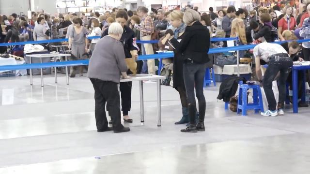 Россия 2011 норвич терьеры смотреть онлайн