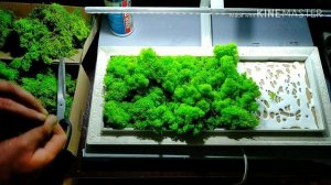 Как клеить стабилизированный мох/How to glue stabilized moss