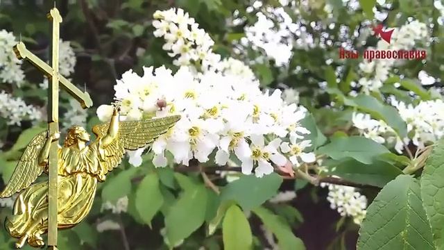 Помощь Ангелов.Почему плакал Ангел Хранитель смотреть онлайн