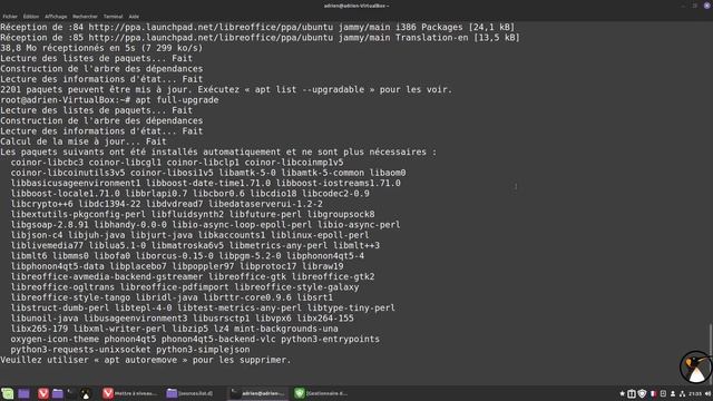 Linux Mint : upgrade 100% ligne de commande смотреть онлайн