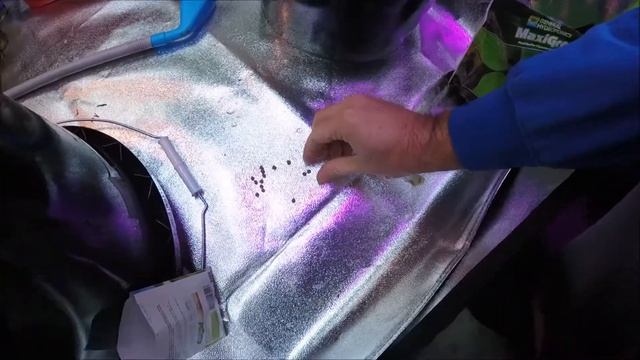 How to Plant Hydroponic Okra - Okra Grown In Hydroponics Series смотреть онлайн