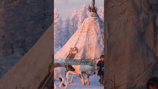 Как учатся дети кочующих народов Севера? смотреть онлайн