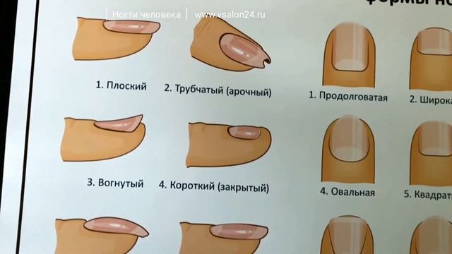 Ногти человека (плакат) смотреть онлайн