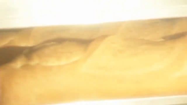 Пеллетная ротационная печь FIORINI FORNI ROTOR PELLET смотреть онлайн