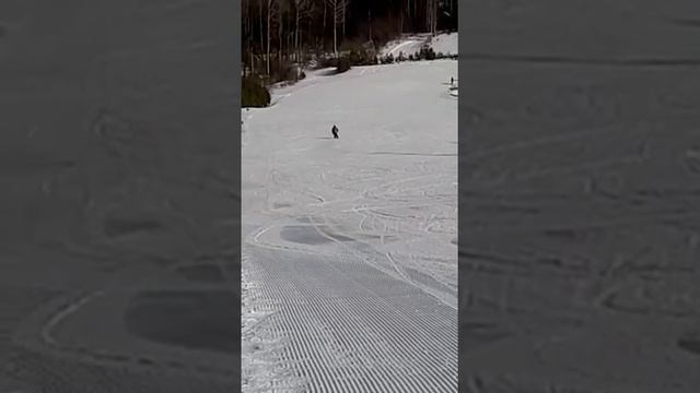 Танай2021 смотреть онлайн